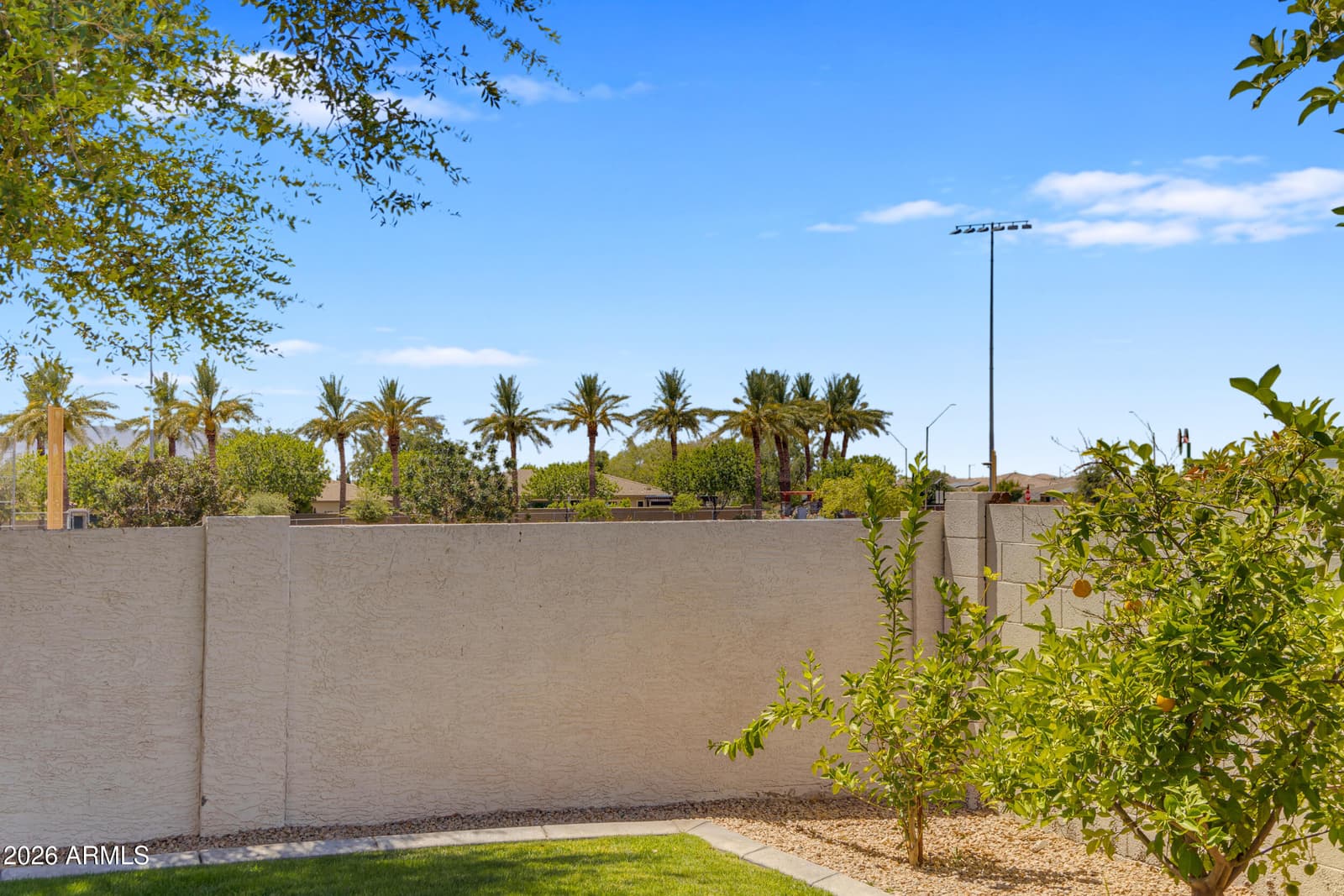 4912 N GREENTREE DR. W Drive W, Litchfield Park, AZ 85340 — photo 94 of 135