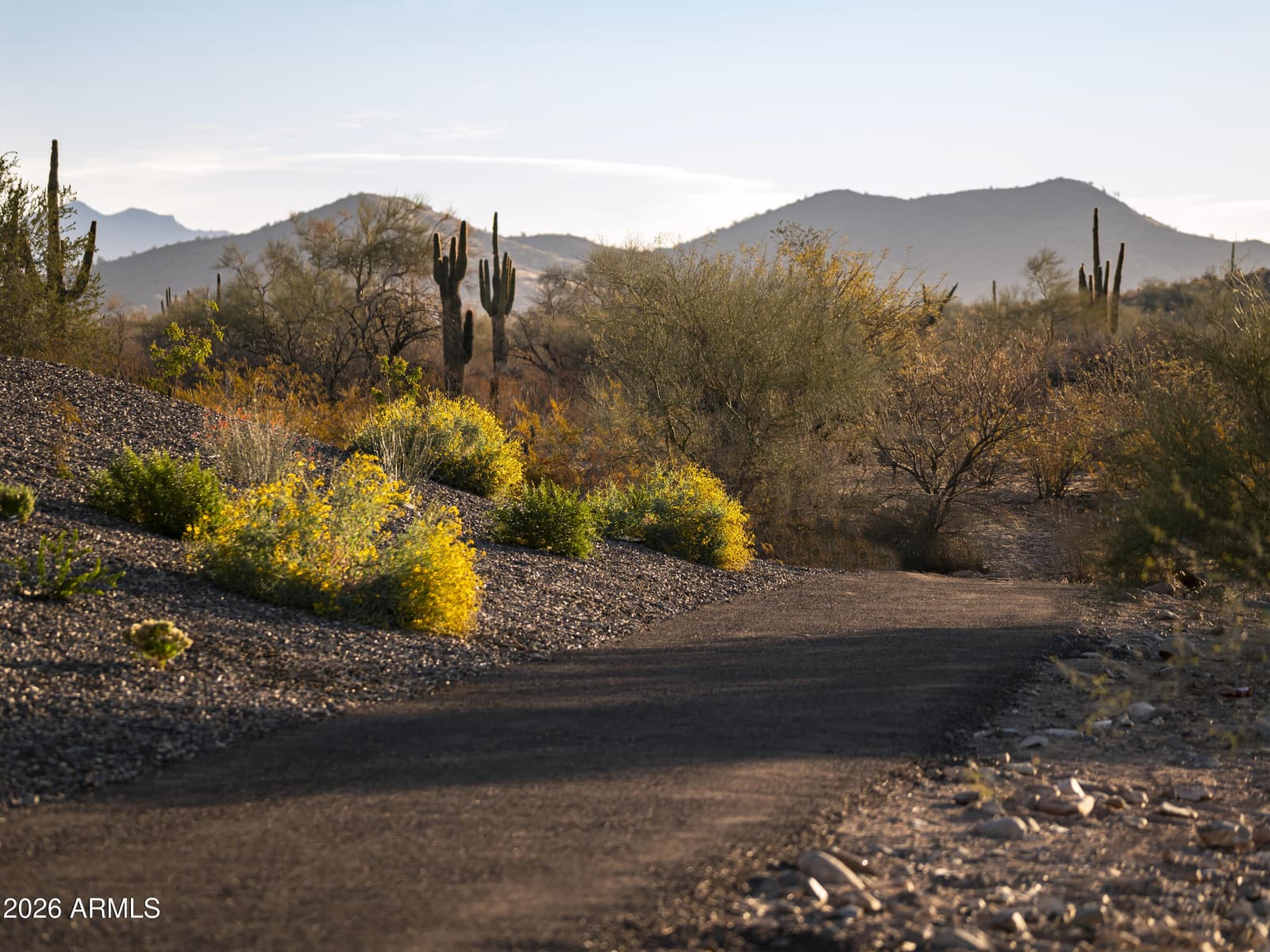 2121 W Sonoran Desert Drive 163, Phoenix, AZ 85085 — photo 17 of 22