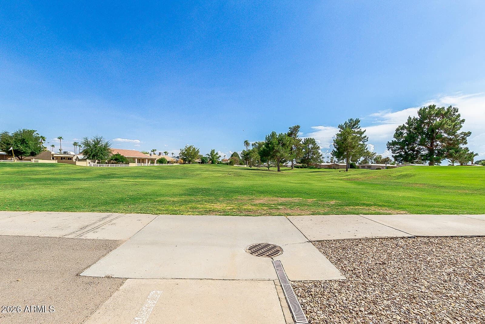 9349 E PARKSIDE Drive, Sun Lakes, AZ 85248 — photo 37 of 52