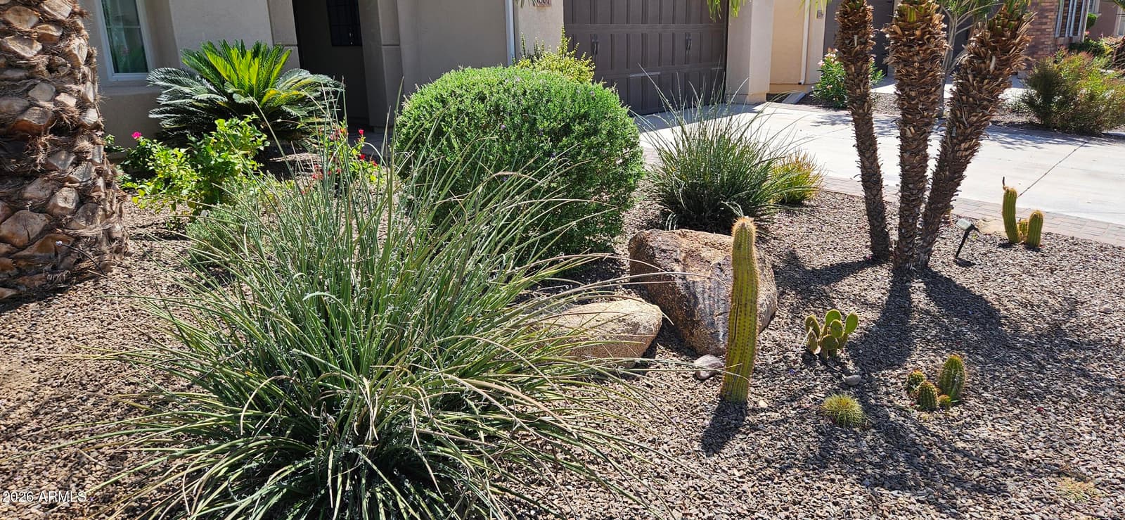 1807 E ALEGRIA Road, Queen Creek, AZ 85140 — photo 7 of 46