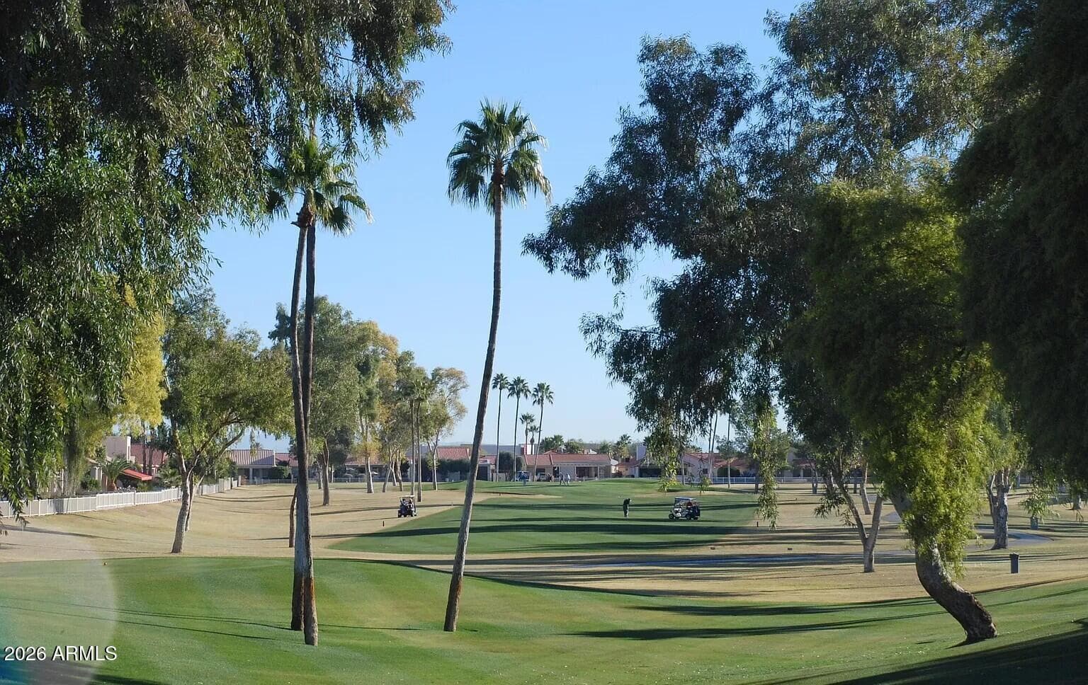 25235 S Fair Oaks Drive, Sun Lakes, AZ 85248 — photo 90 of 92