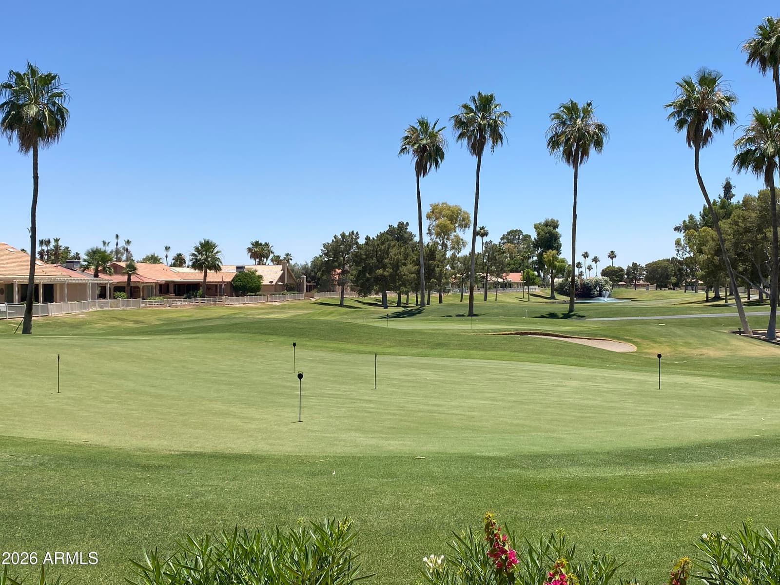 25235 S Fair Oaks Drive, Sun Lakes, AZ 85248 — photo 89 of 92
