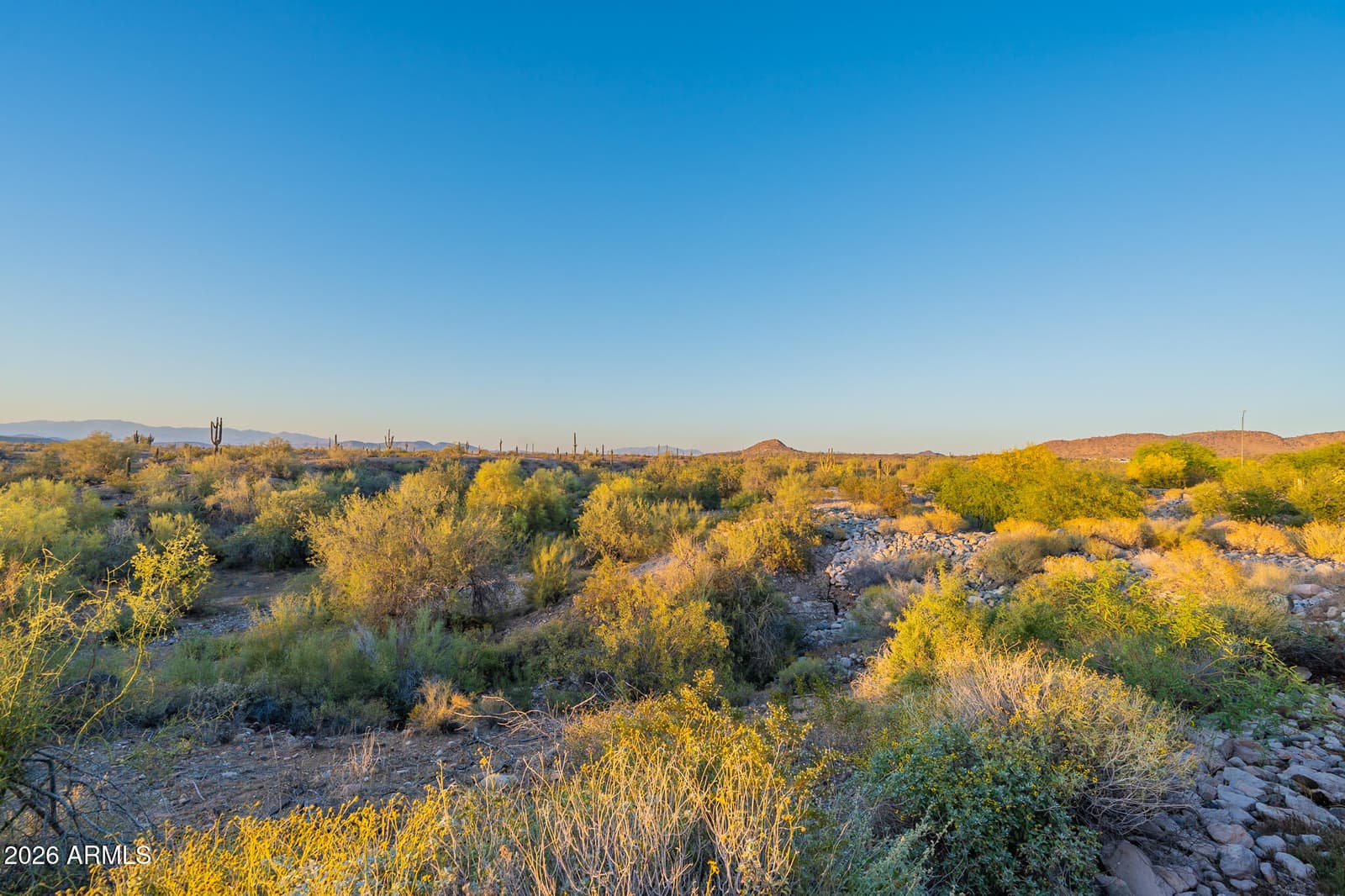 9934 W White Feather Lane, Peoria, AZ 85383 — photo 88 of 127