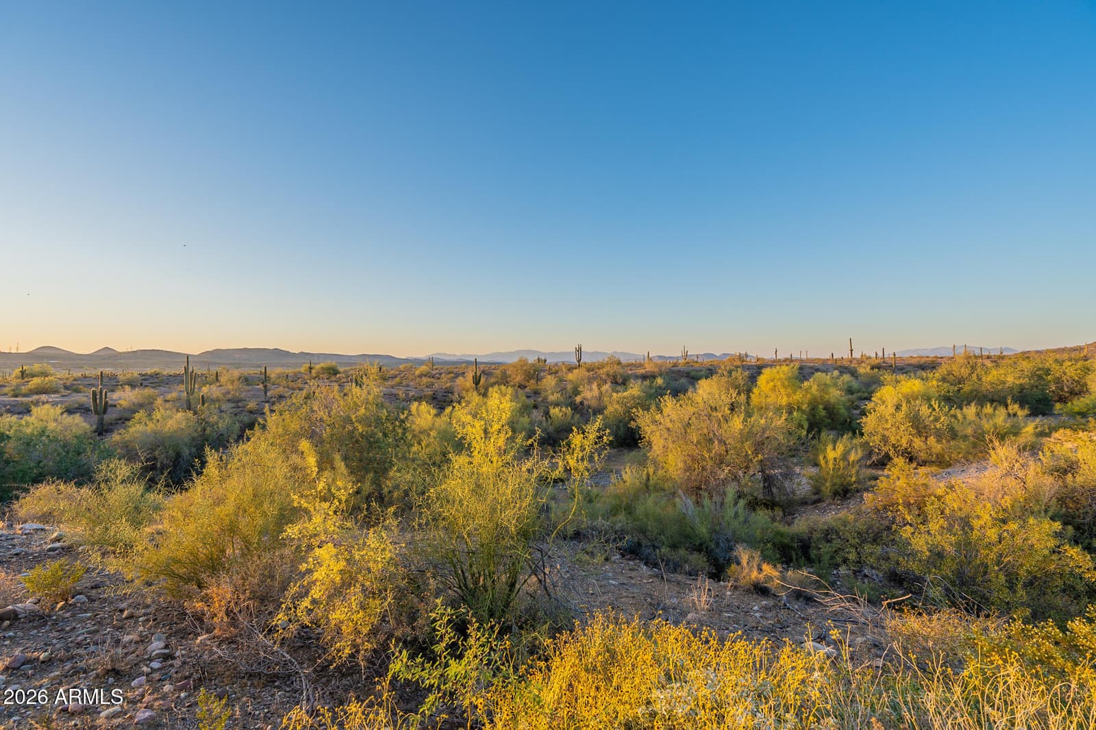 9934 W White Feather Lane, Peoria, AZ 85383 — photo 89 of 127