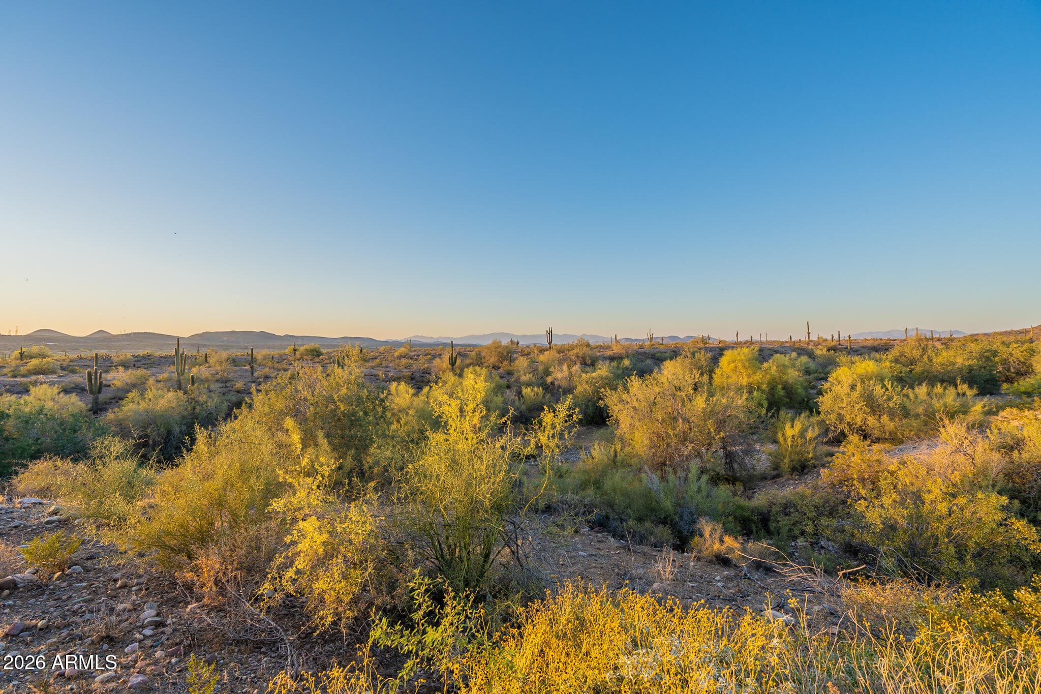 9934 W WHITE FEATHER Lane, Peoria, AZ 85383 — photo 89 of 127