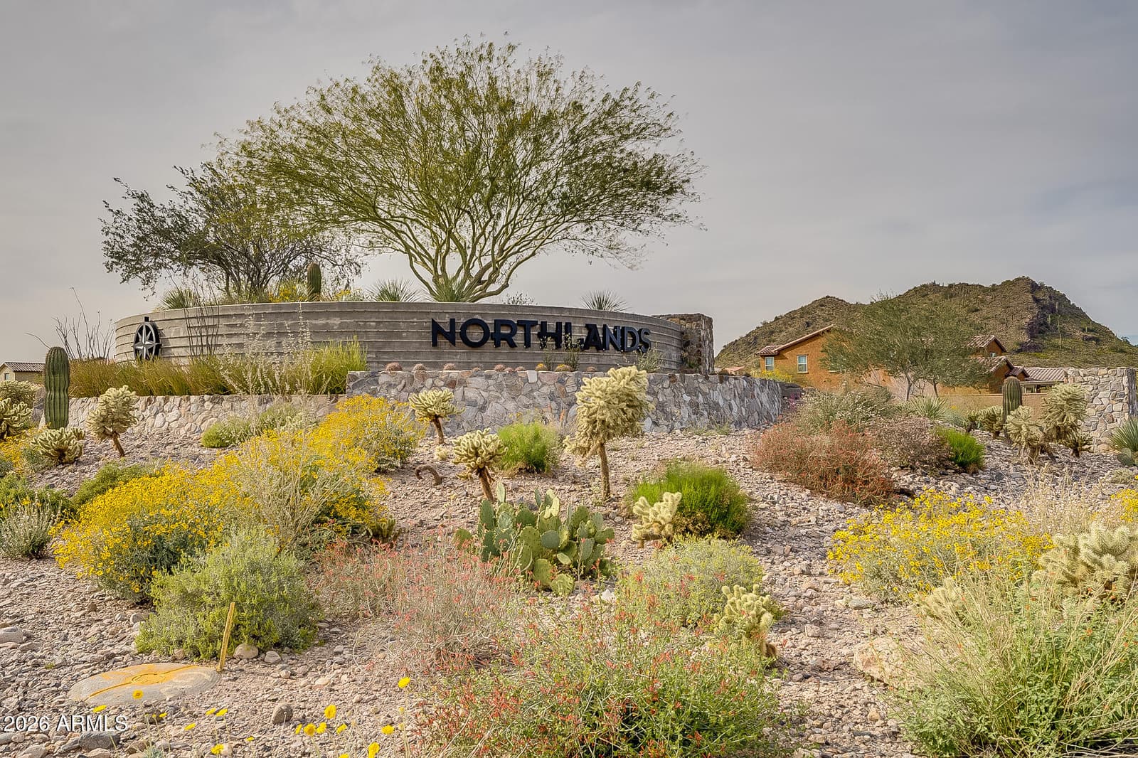 9934 W White Feather Lane, Peoria, AZ 85383 — photo 110 of 127