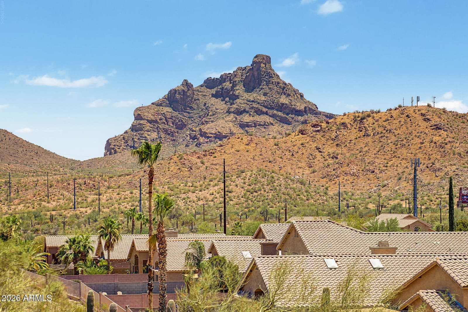 17139 E SONORAN Way, Fountain Hills, AZ 85268 — photo 49 of 51