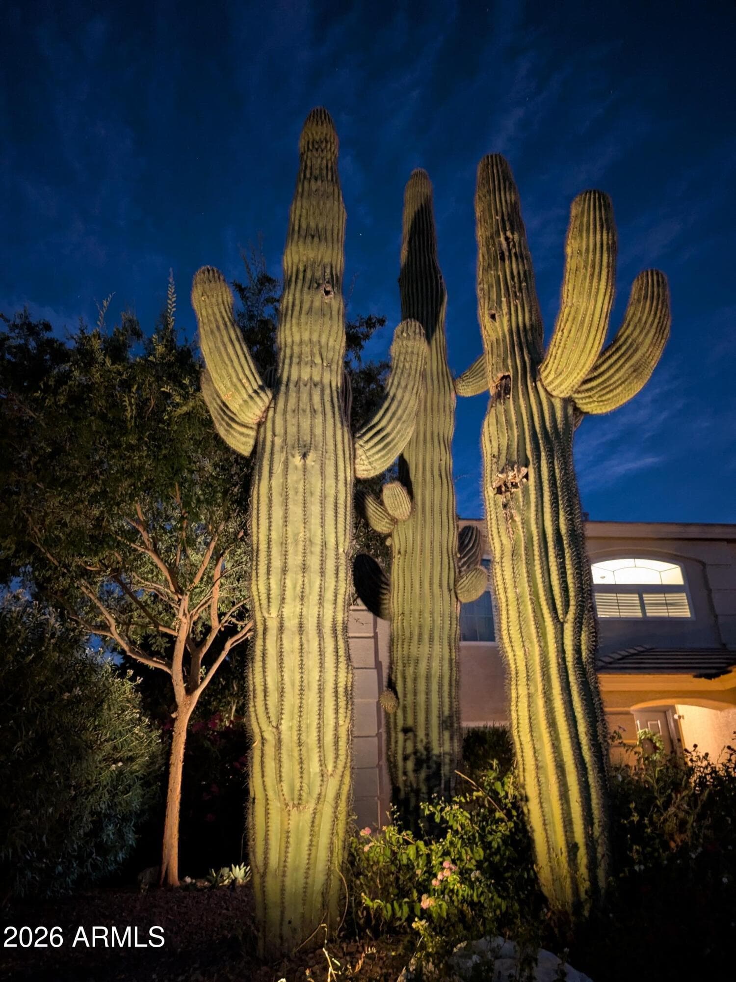 4621 E Bent Tree Drive, Cave Creek, AZ 85331 — photo 5 of 52