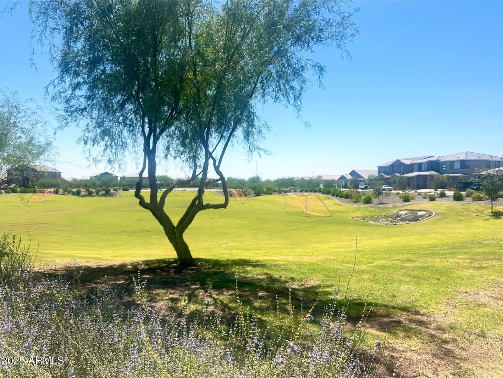 19384 W Palo Verde Drive, Litchfield Park, AZ 85340 — photo 22 of 25