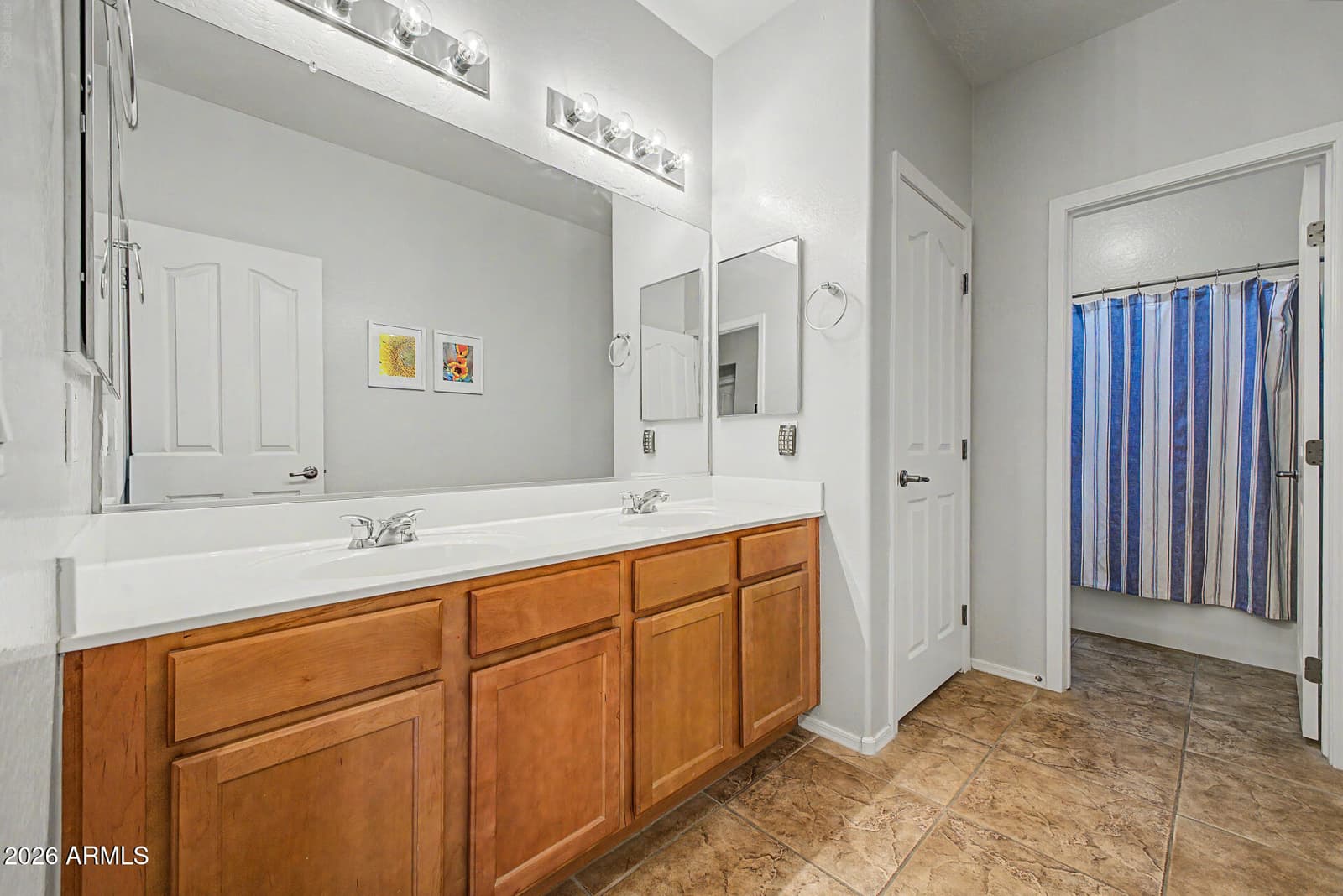 14559 W POINSETTIA Drive, Surprise, AZ 85379 — photo 21 of 36
