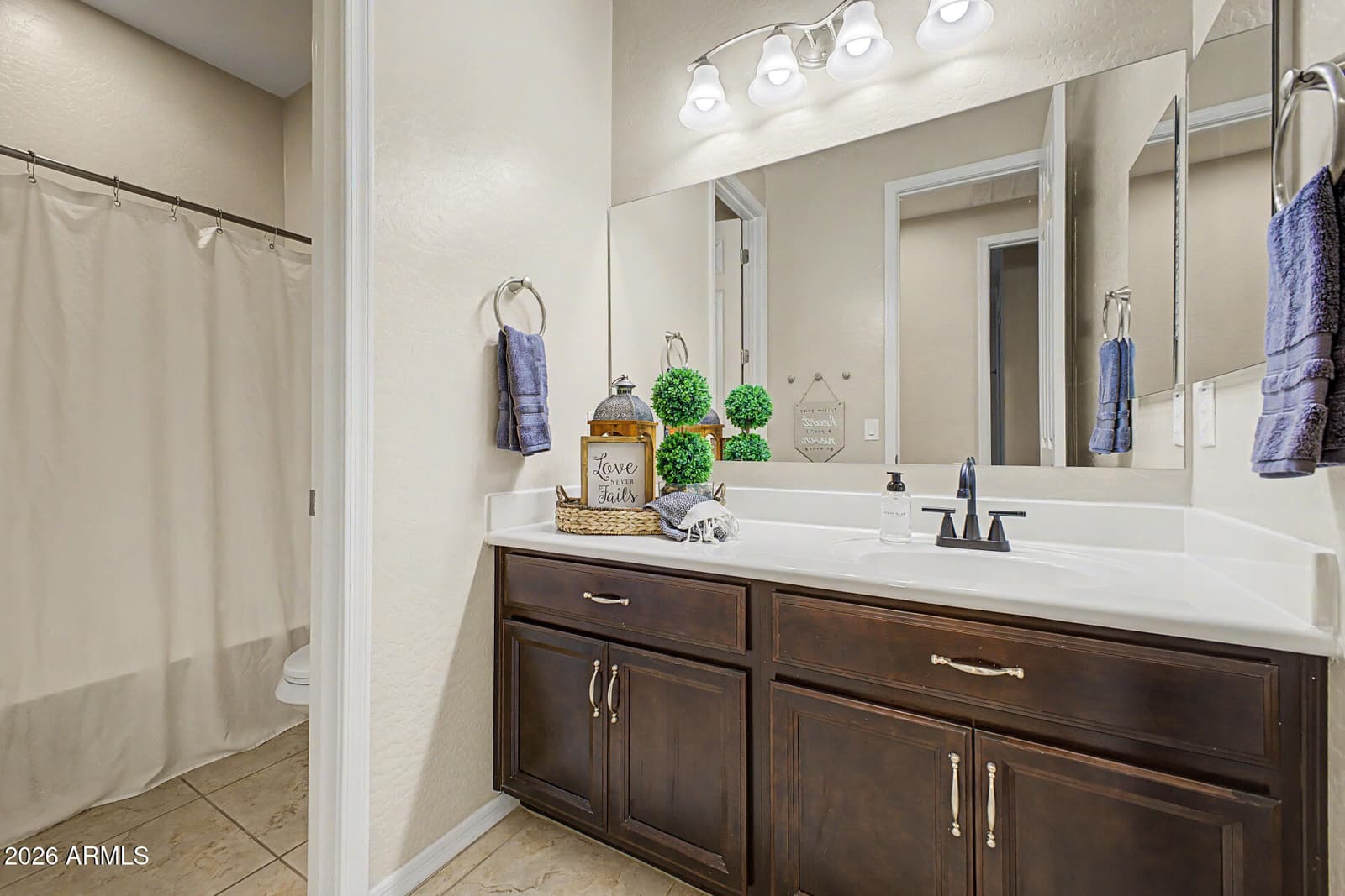 3294 N SPRINGFIELD Street, Buckeye, AZ 85396 — photo 33 of 67
