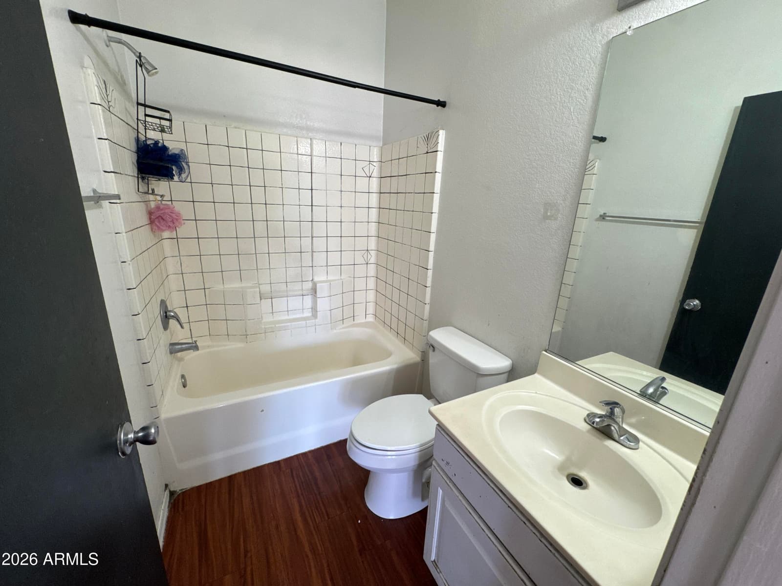 12906 W Ash Street, El Mirage, AZ 85335 — photo 10 of 24