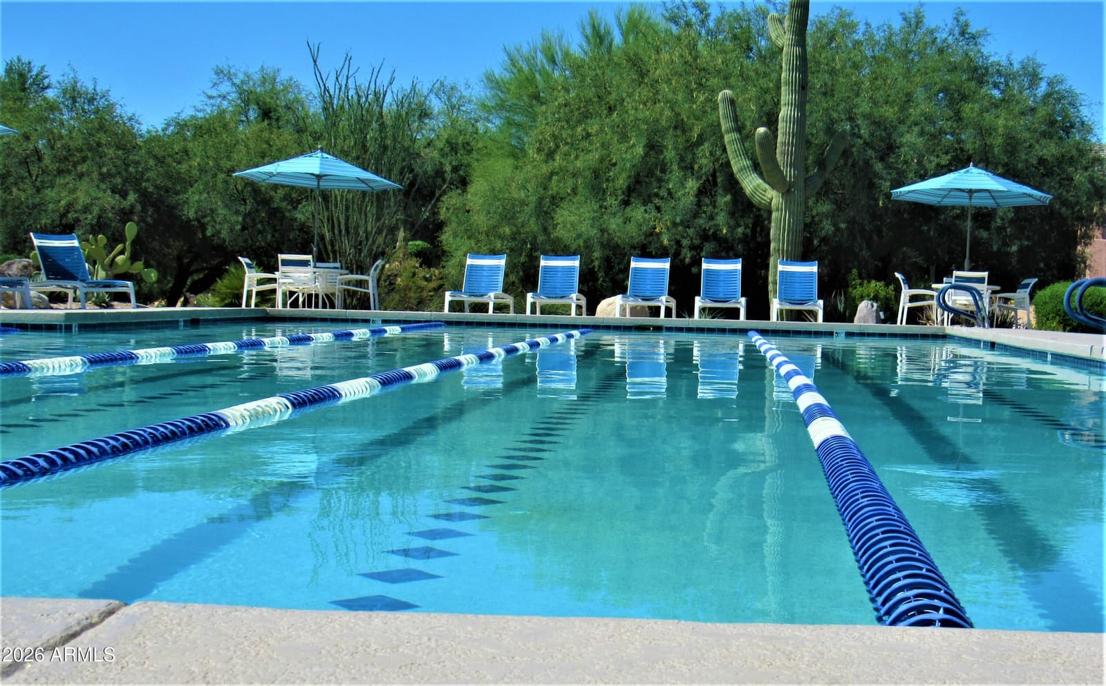 33430 N 71ST Street, Scottsdale, AZ 85266 — photo 84 of 84