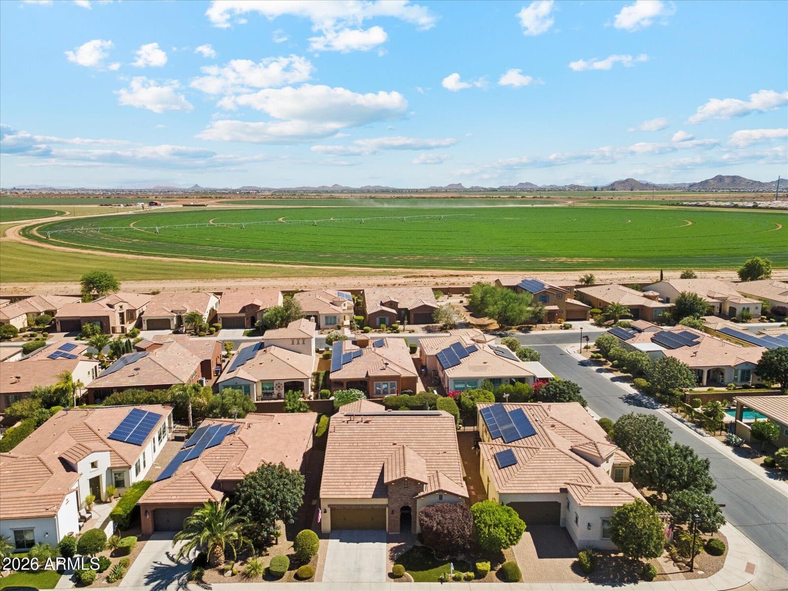 1523 E ELYSIAN Pass, Queen Creek, AZ 85140 — photo 31 of 52