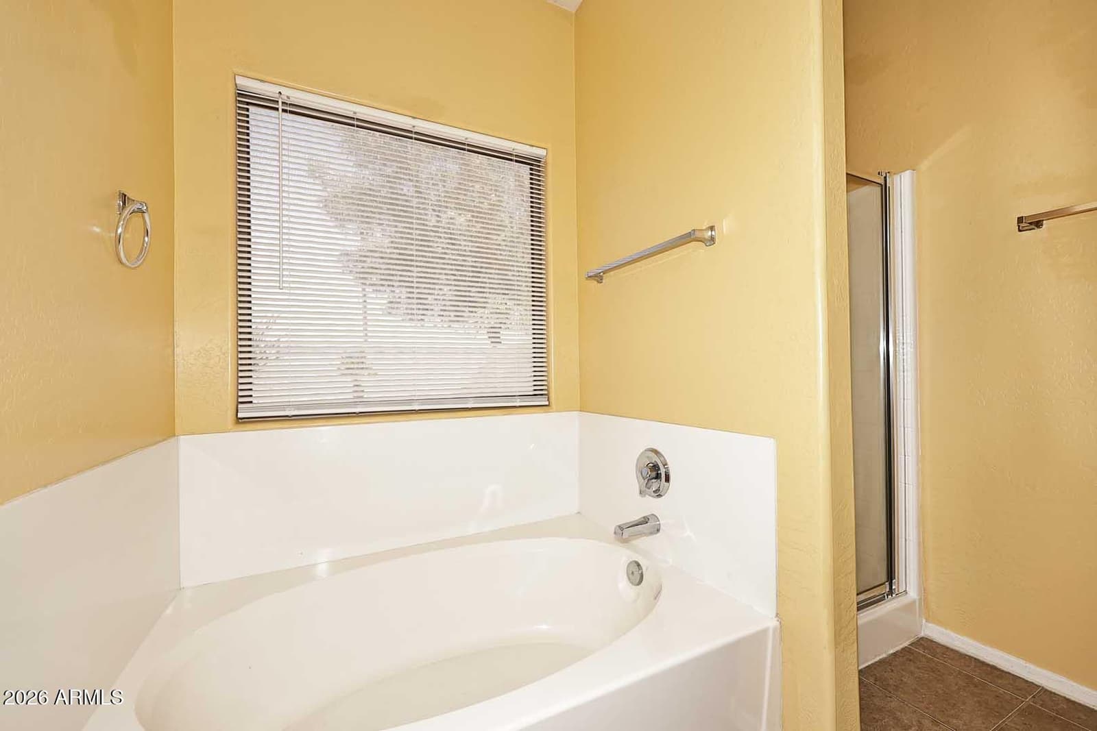 15310 N 162ND Lane, Surprise, AZ 85379 — photo 31 of 50