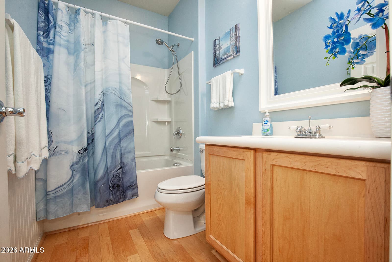 26166 W TONTO Lane, Buckeye, AZ 85396 — photo 31 of 45