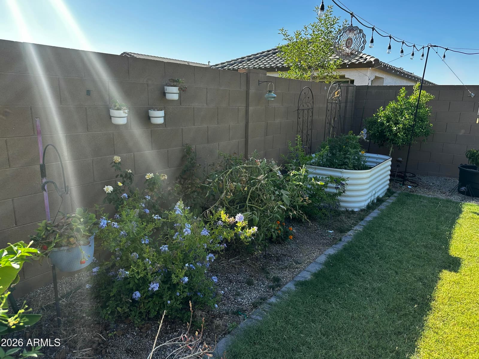 4248 E ENMARK Drive, San Tan Valley, AZ 85143 — photo 47 of 49