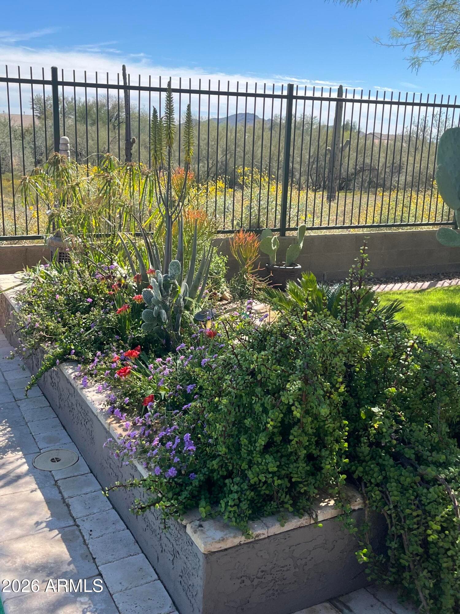 2259 W River Rock Trail, Phoenix, AZ 85086 — photo 41 of 56