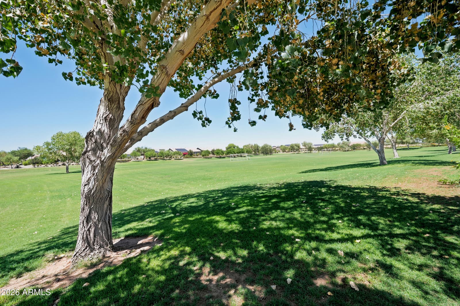 5523 N 190TH Drive, Litchfield Park, AZ 85340 — photo 48 of 52