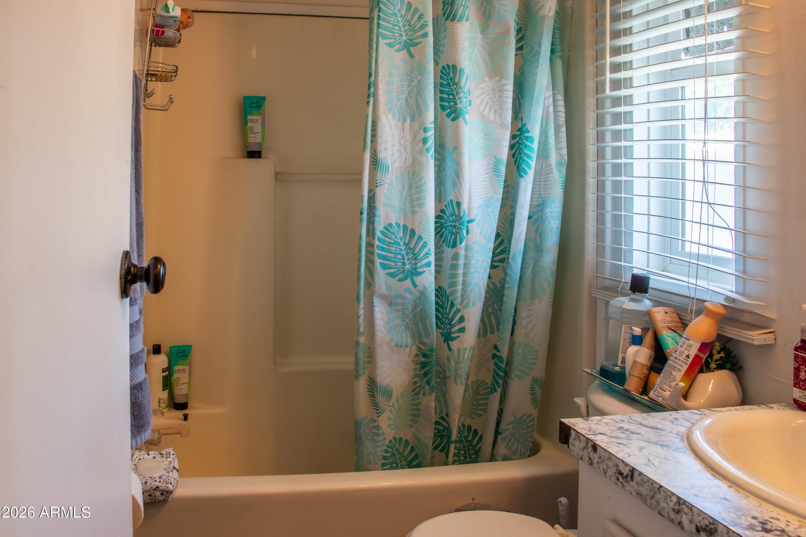 6227 N LITCHFIELD Road 49, Litchfield Park, AZ 85340 — photo 8 of 15