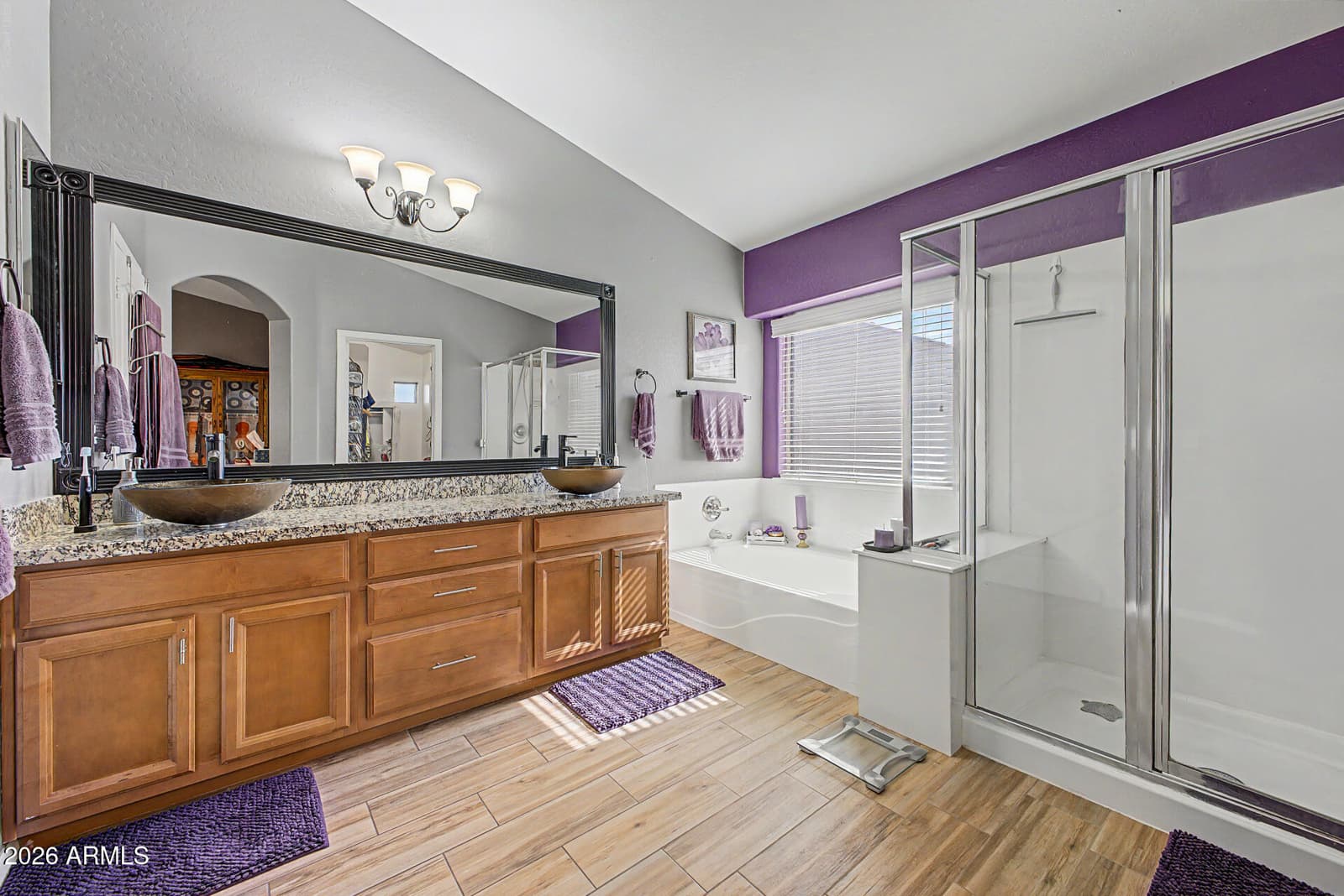 879 W HOLSTEIN Trail, San Tan Valley, AZ 85143 — photo 14 of 31