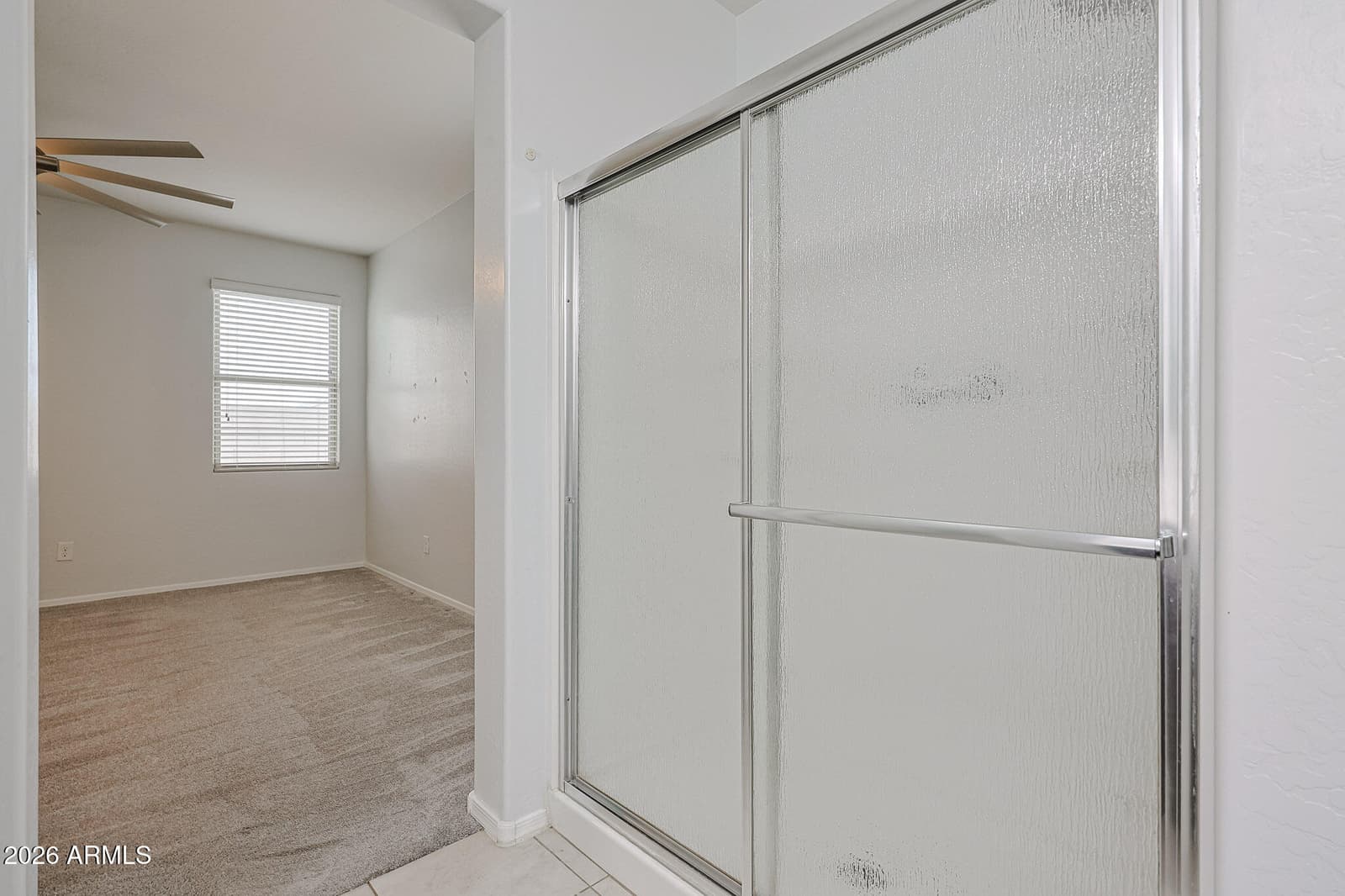 30236 W CATALINA Drive, Buckeye, AZ 85396 — photo 23 of 31