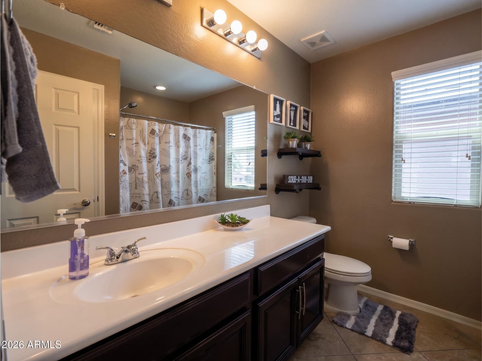 21424 W TERRI LEE Drive, Buckeye, AZ 85396 — photo 30 of 31