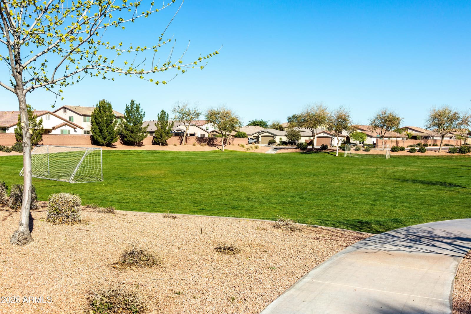 42163 N Wollemi Street, Queen Creek, AZ 85140 — photo 56 of 61