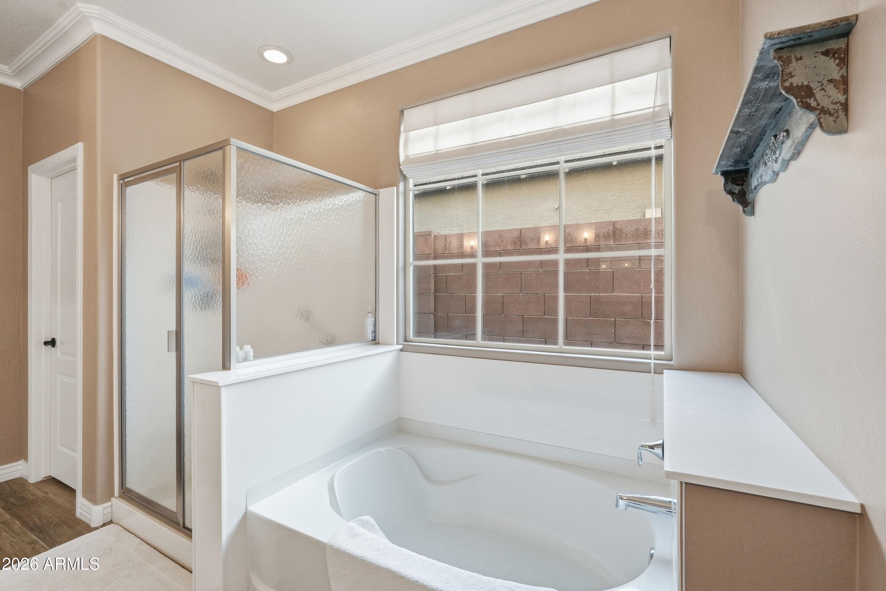 18358 W TASHA Drive, Surprise, AZ 85388 — photo 35 of 57