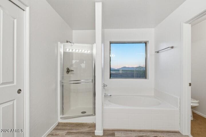 19800 N Toledo Avenue, Maricopa, AZ 85138 — photo 49 of 62