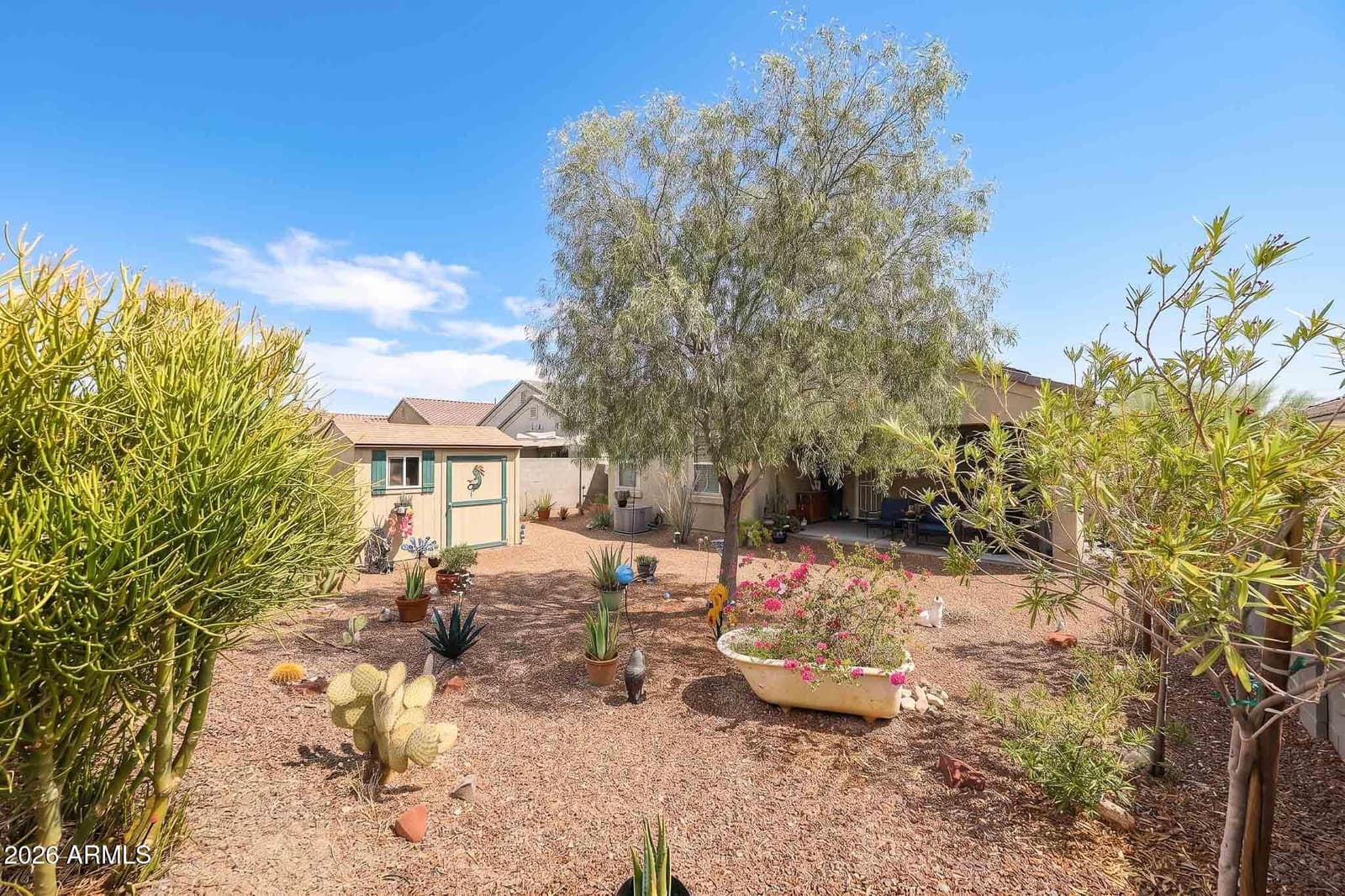 30204 W Catalina Drive, Buckeye, AZ 85396 — photo 32 of 33