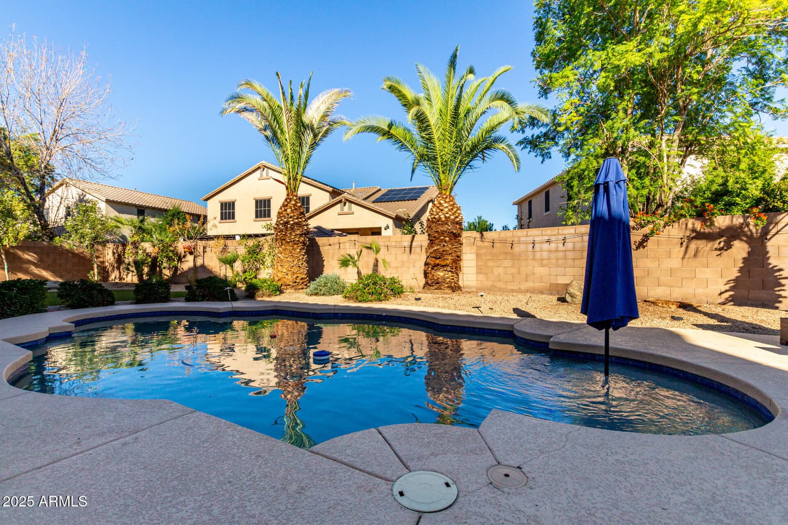 6233 S ROCHESTER Drive, Gilbert, AZ 85298 — photo 56 of 59