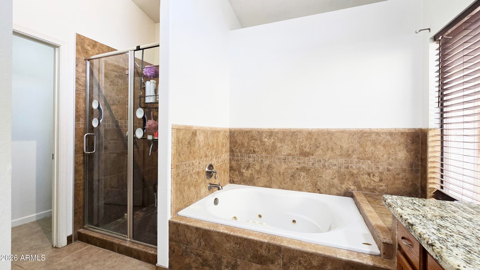 11007 W Cottonwood Lane, Avondale, AZ 85392 — photo 18 of 32