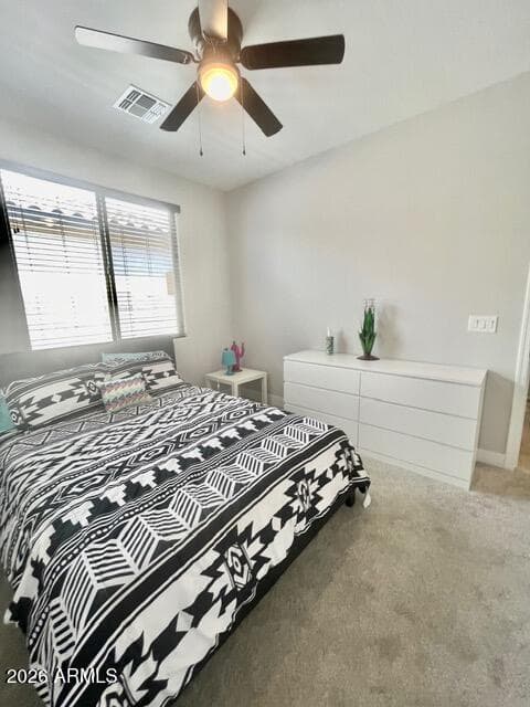 10959 W MELVIN Street W, Avondale, AZ 85323 — photo 17 of 21