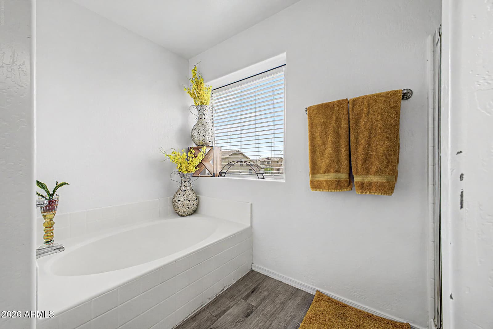9205 W Williams Street, Tolleson, AZ 85353 — photo 21 of 37