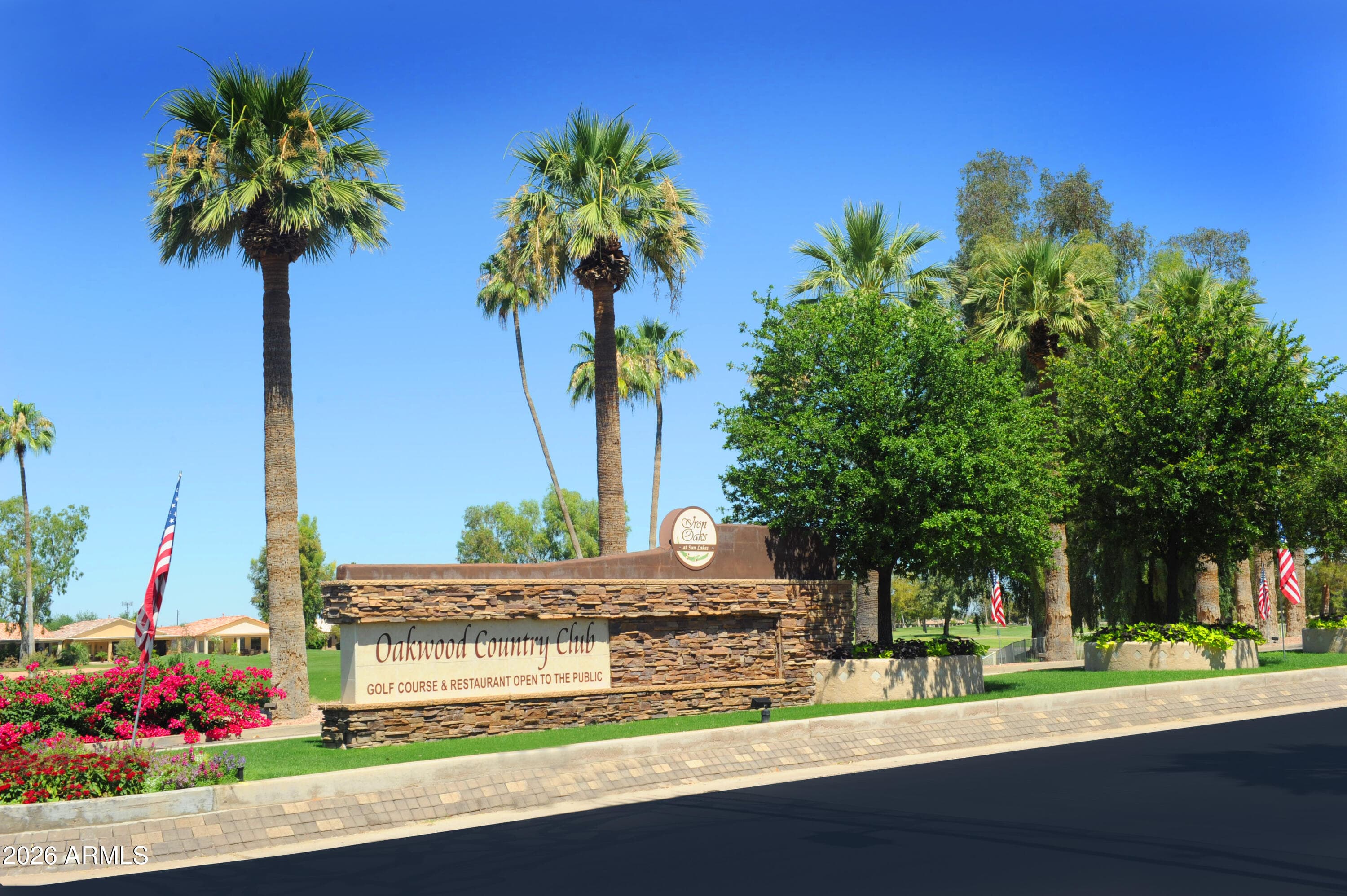 9117 E DIAMOND Drive, Sun Lakes, AZ 85248 — photo 39 of 63