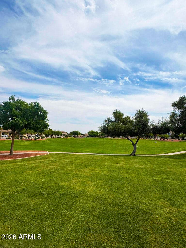 16863 W WEYMOUTH Road, Surprise, AZ 85374 — photo 30 of 32