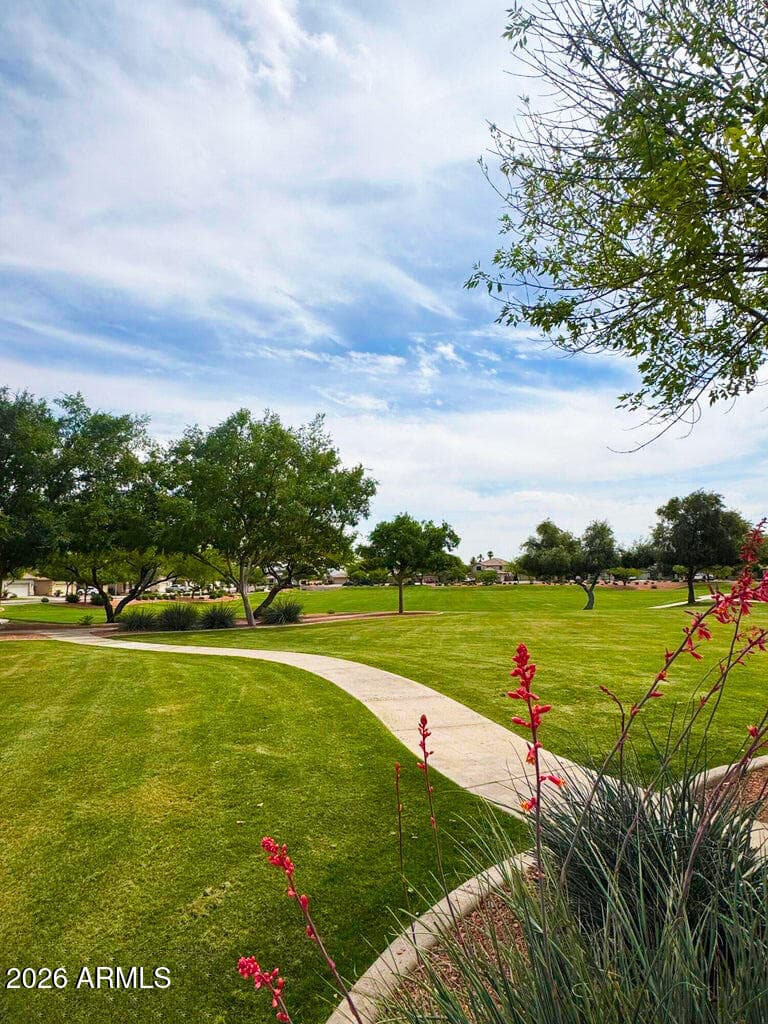 16863 W WEYMOUTH Road, Surprise, AZ 85374 — photo 31 of 32
