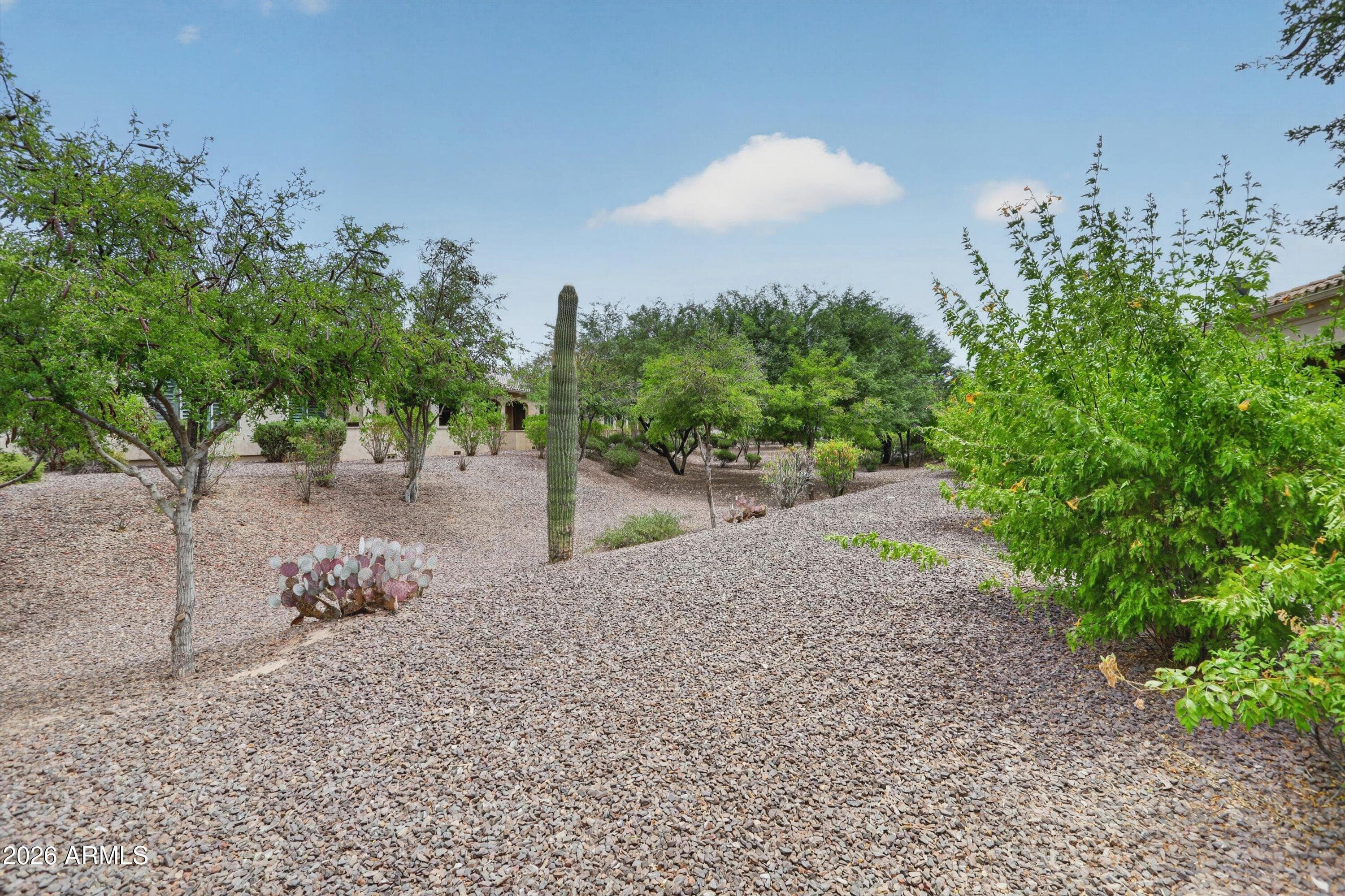 16948 W PALM Lane, Goodyear, AZ 85395 — photo 37 of 62