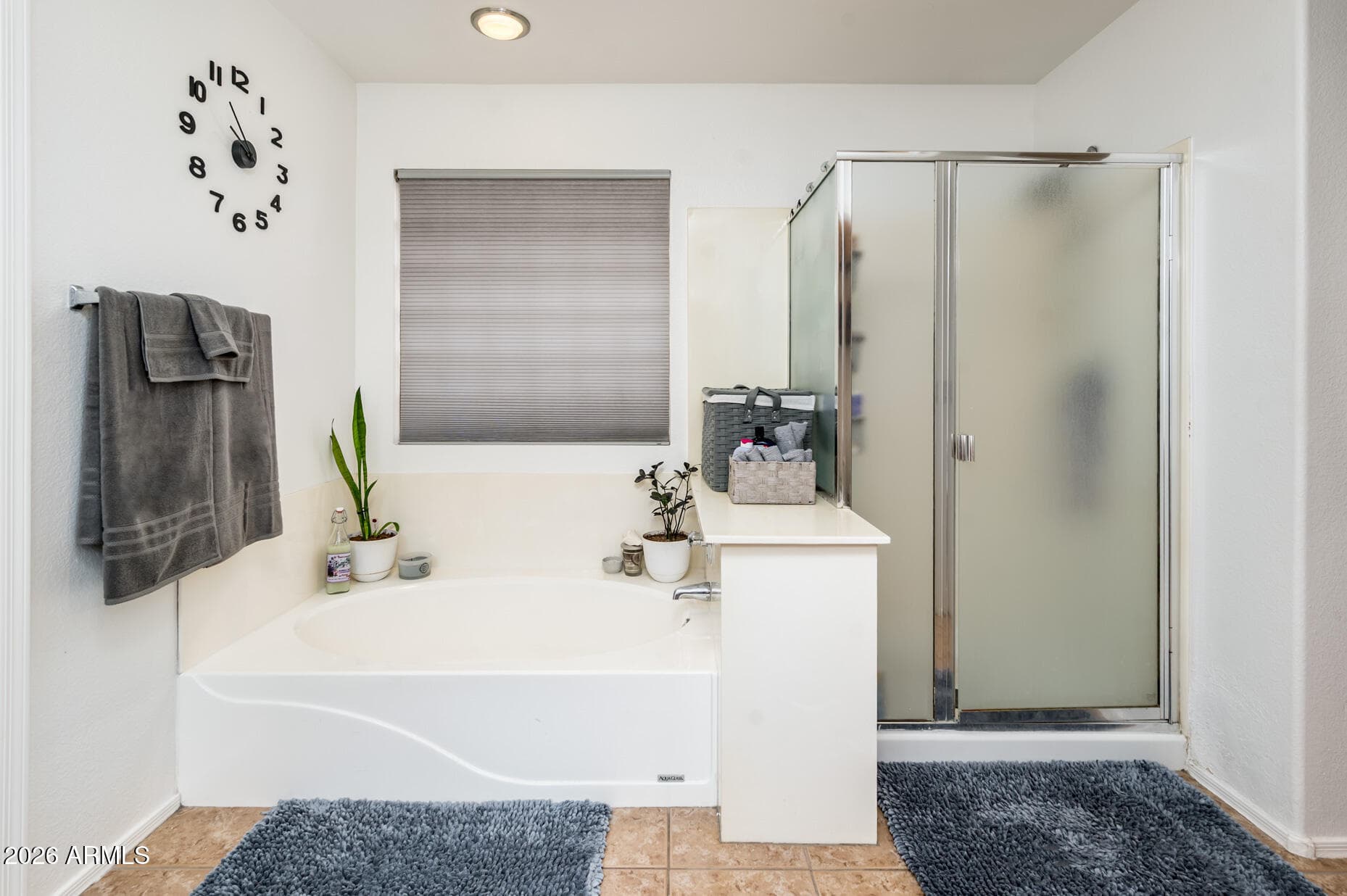16185 N 158TH Avenue, Surprise, AZ 85374 — photo 29 of 50