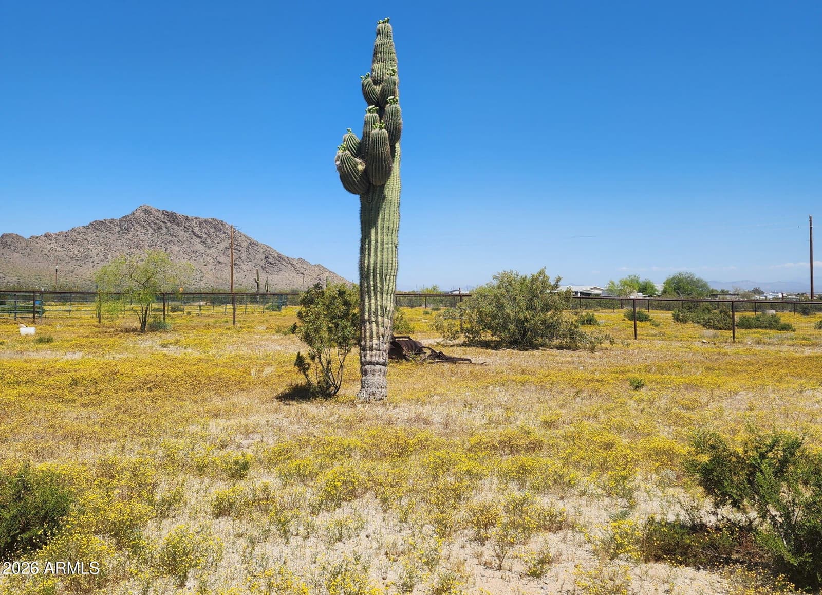 31773 N THOMPSON Road, Queen Creek, AZ 85144 — photo 1 of 31