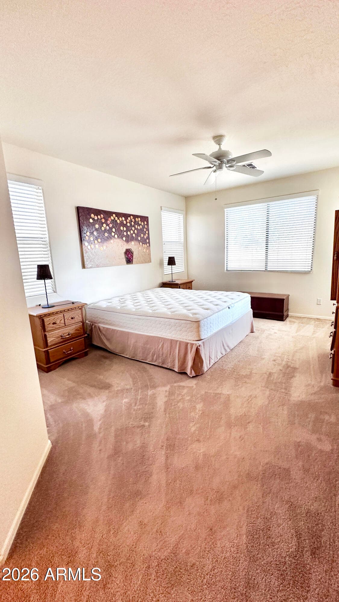 16863 W WEYMOUTH Road, Surprise, AZ 85374 — photo 12 of 32