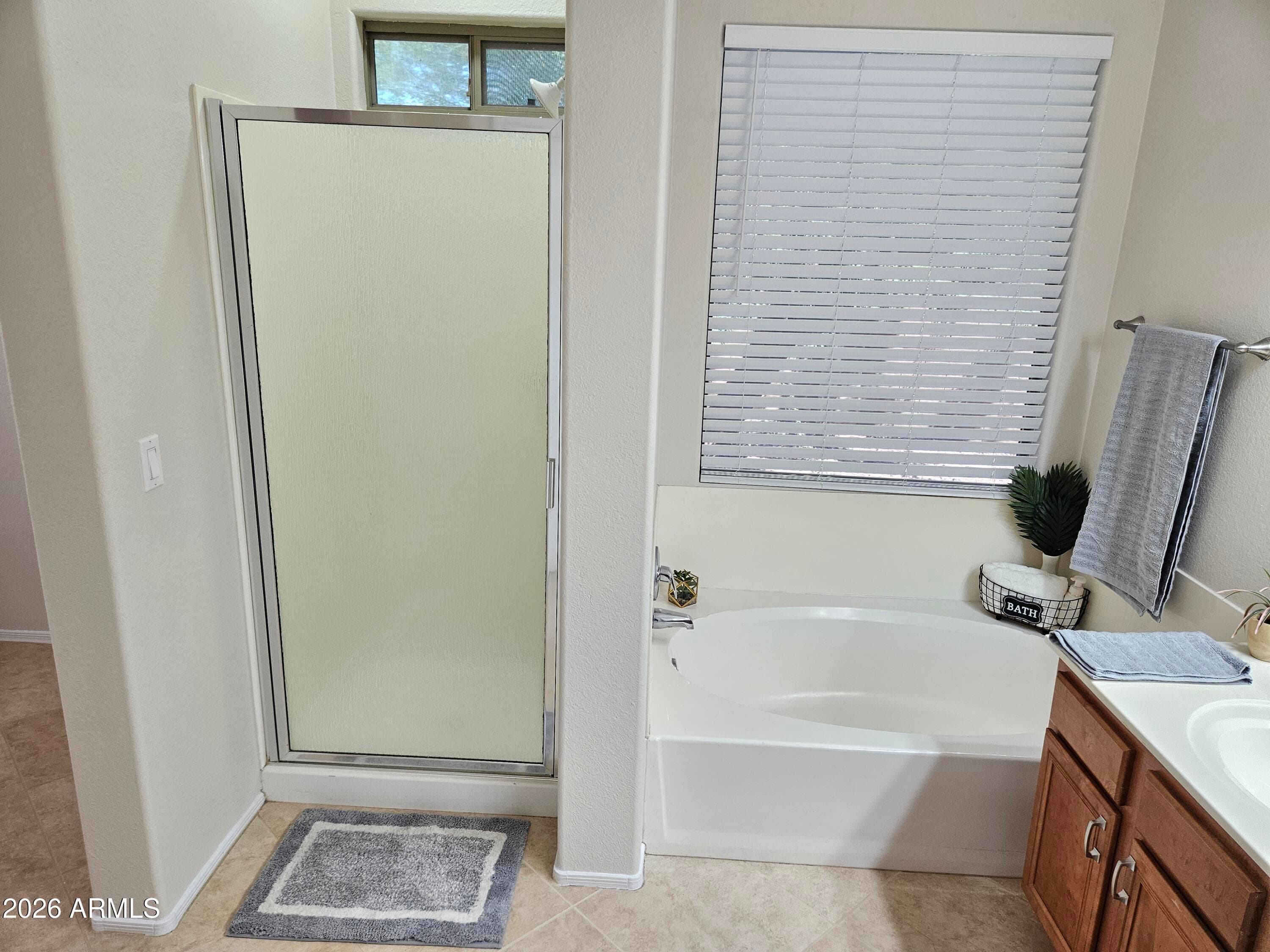12906 W SURREY Avenue, El Mirage, AZ 85335 — photo 21 of 32