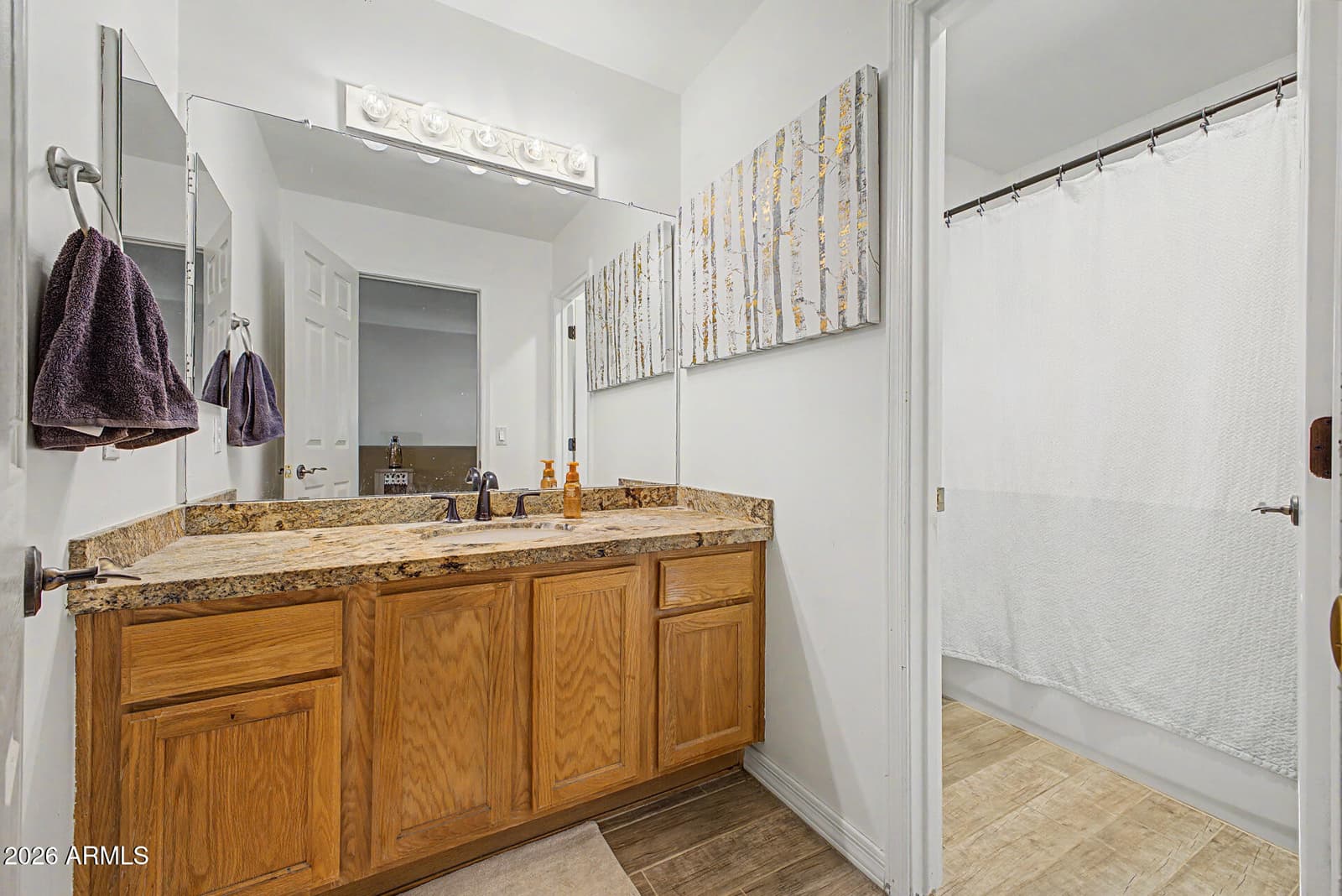 6022 W Robin Lane, Glendale, AZ 85310 — photo 46 of 82