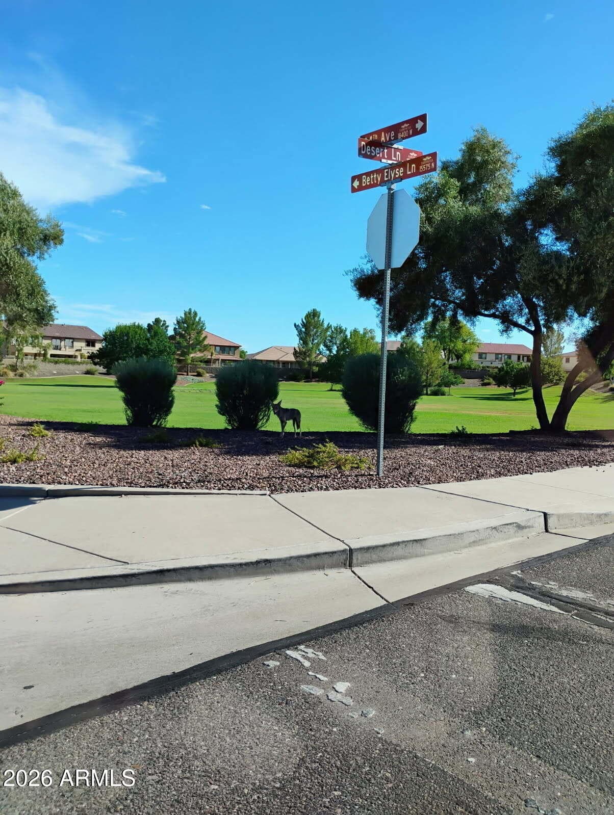 15659 N 184TH Lane, Surprise, AZ 85388 — photo 35 of 35