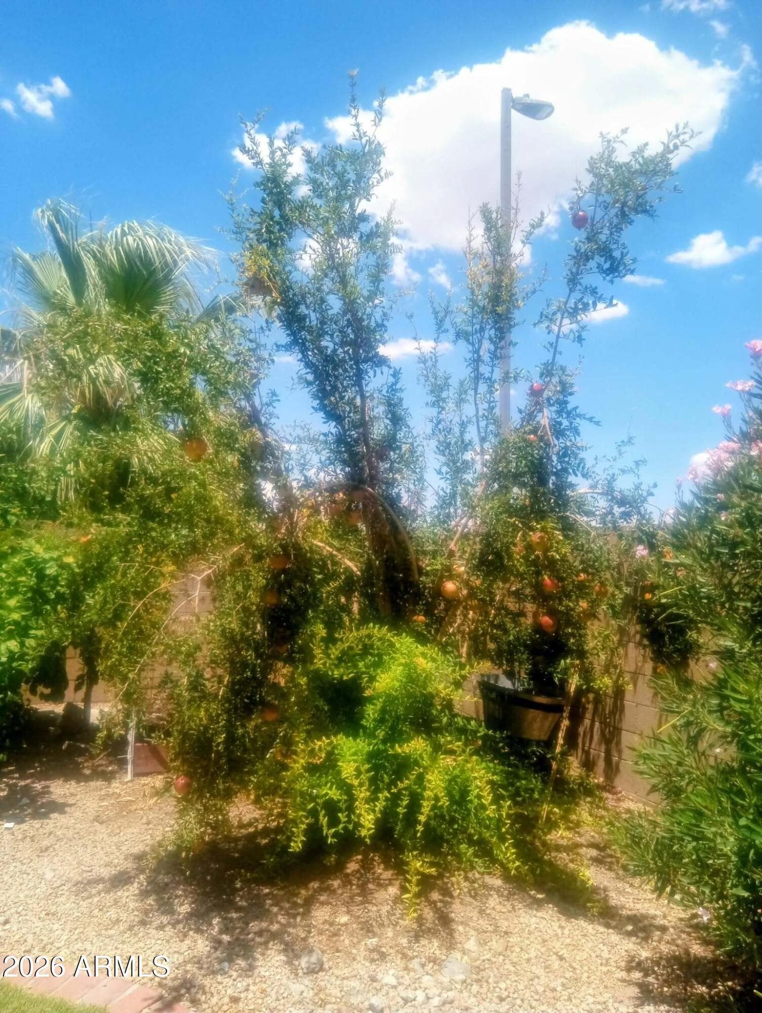 11490 S MORNINGSIDE Drive, Goodyear, AZ 85338 — photo 11 of 28