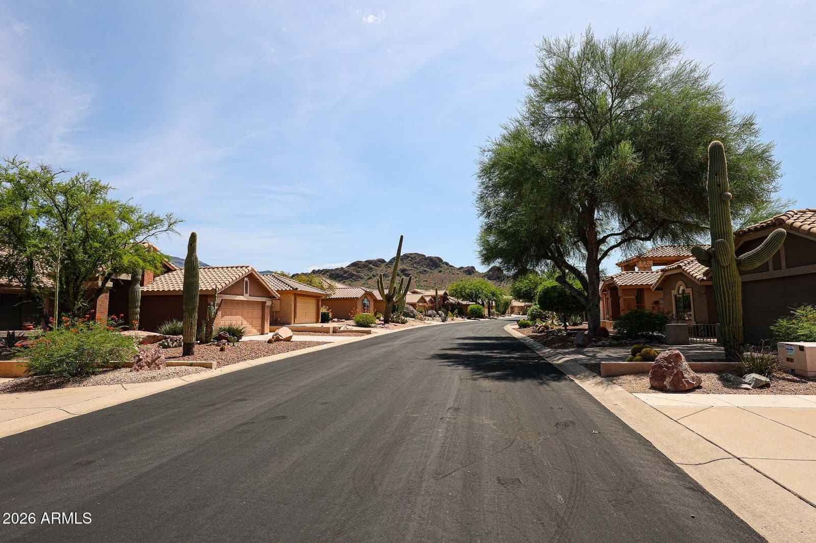 8365 E Golden Cholla Drive, Gold Canyon, AZ 85118 — photo 42 of 42