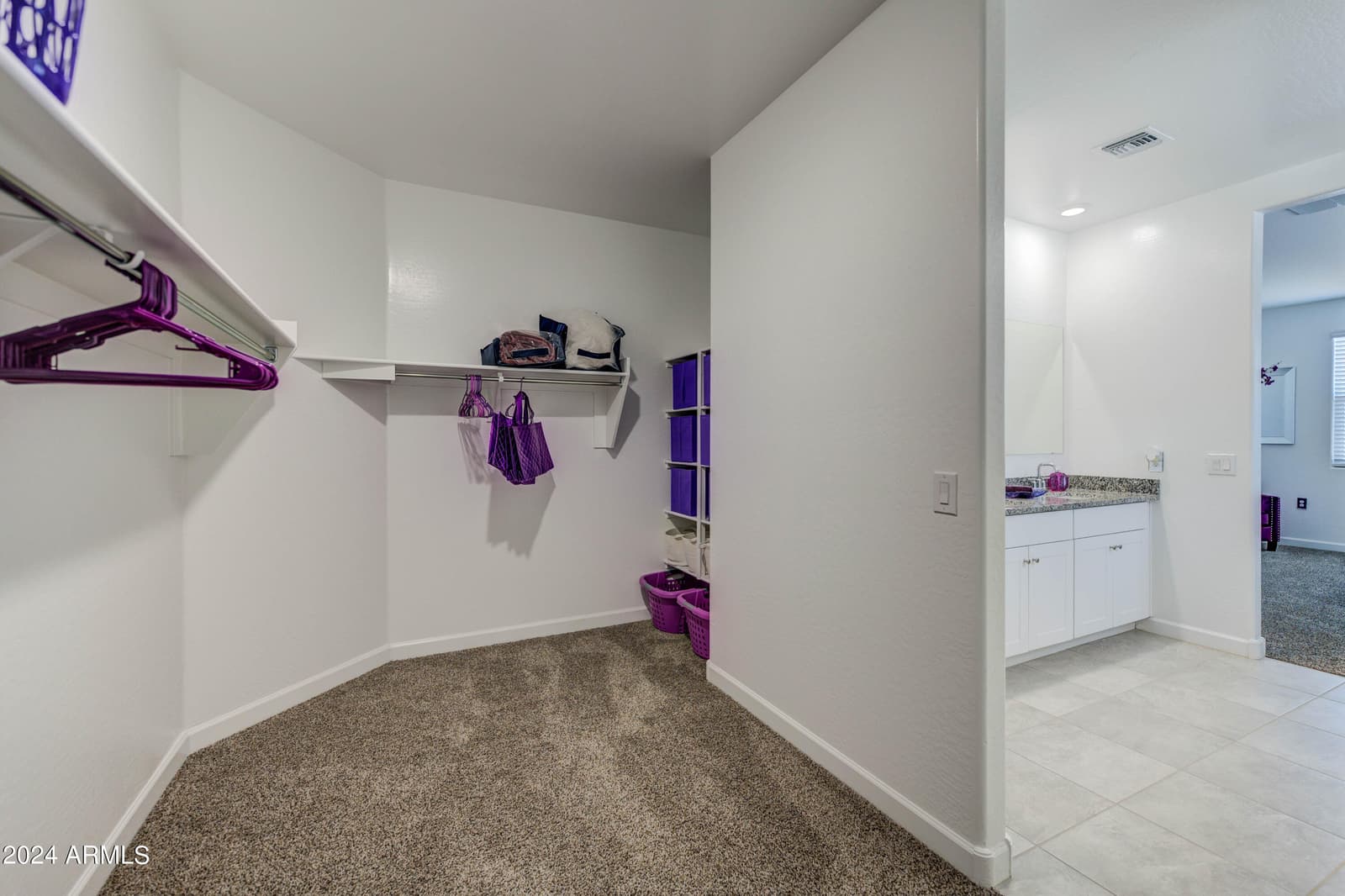 3353 W Shanley Avenue, Apache Junction, AZ 85120 — photo 10 of 16