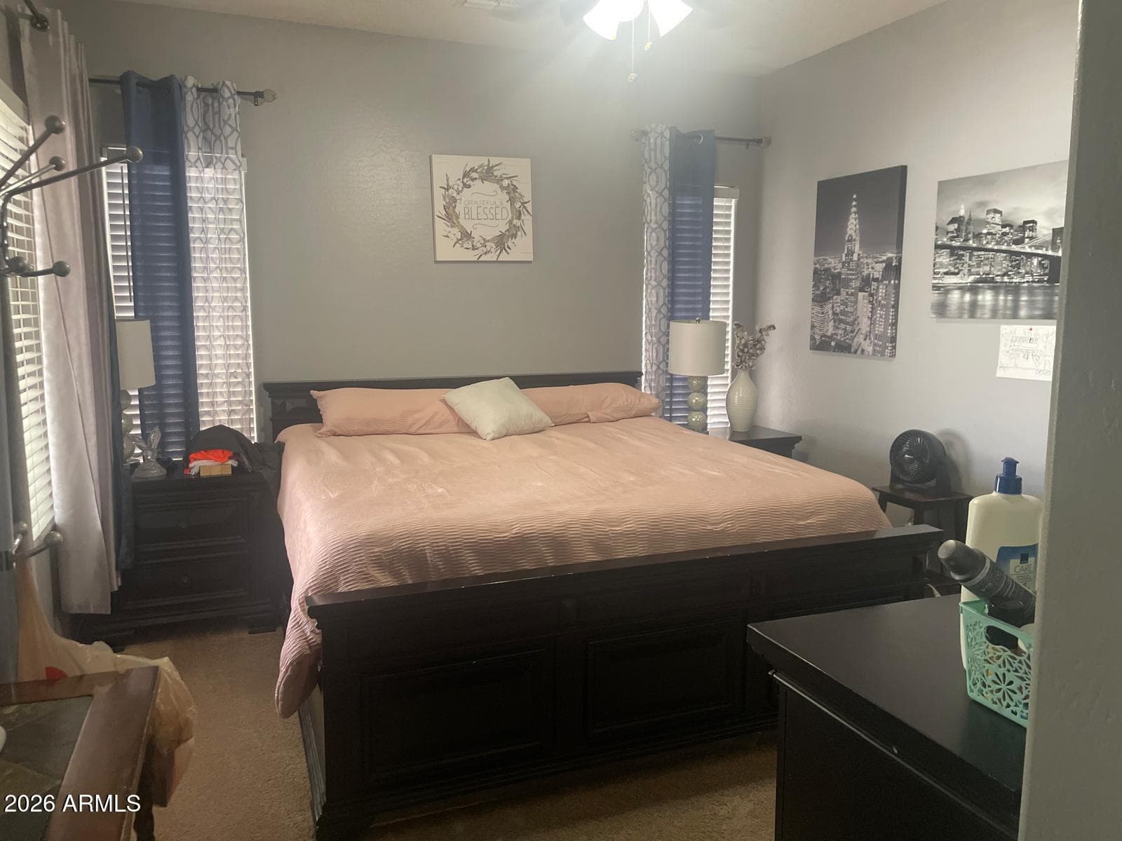 209 N 193RD Drive, Buckeye, AZ 85326 — photo 16 of 22