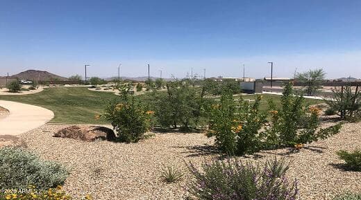 14315 W SOFT WIND Drive, Surprise, AZ 85387 — photo 8 of 19